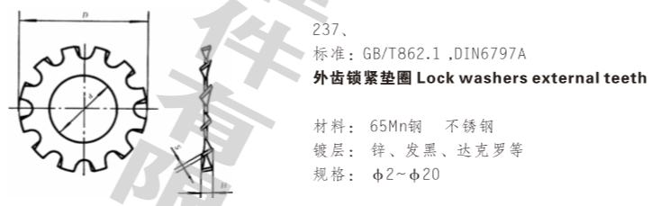 外齿锁紧垫圈