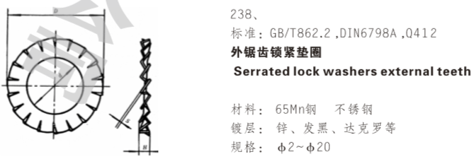 外锯齿锁紧垫圈 外锯齿锁紧垫圈